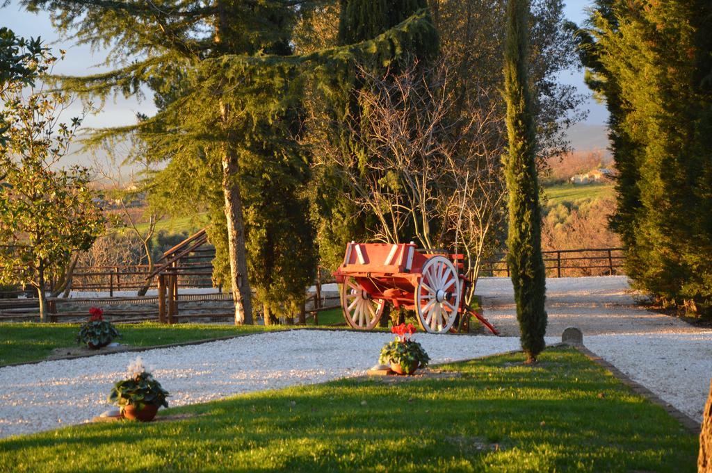 Agriturismo La Collina Pitigliano Pokoj fotografie