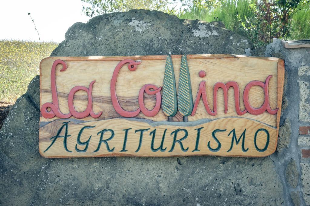 Agriturismo La Collina Pitigliano Exteriér fotografie
